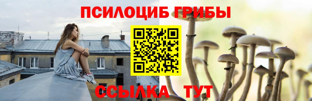 Псилоцибиновые грибы мицелий  Вход с VPN  Ангарск  Галлюциногенные грибы мицелий 